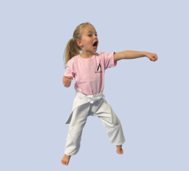 Little Ninjas Program