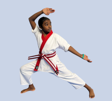 Belt Program 10+