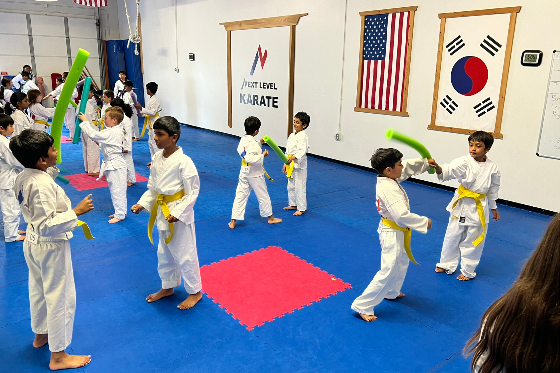 Little Dragon Program